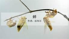 五年级上册古诗