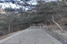 千山看斜阳txt微盘