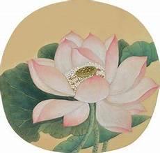 吴炳出水芙蓉图步骤